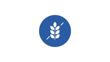 Gluten Free line illustration