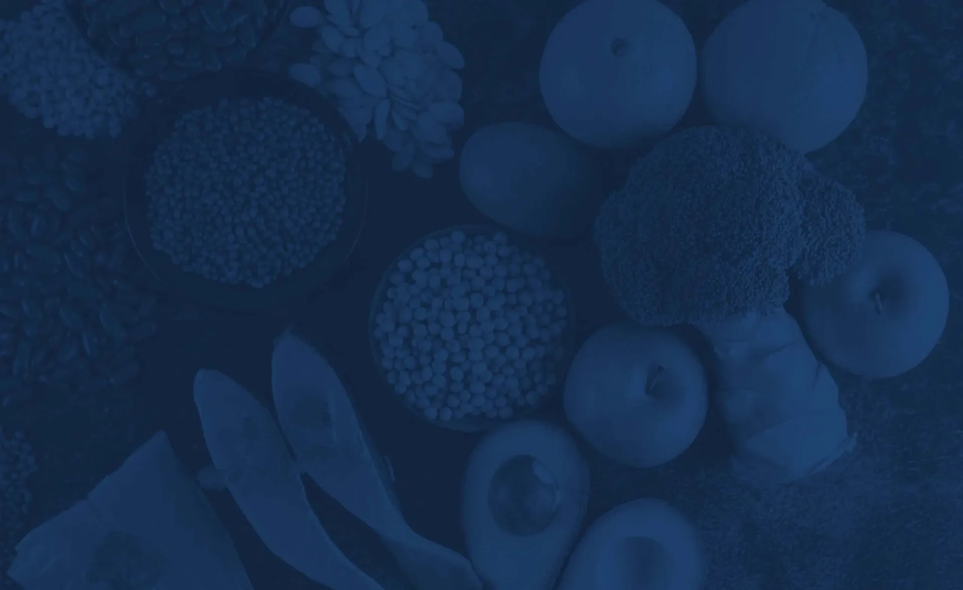 overhead view of various ingredients with a blue overlay