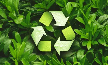 sustainability